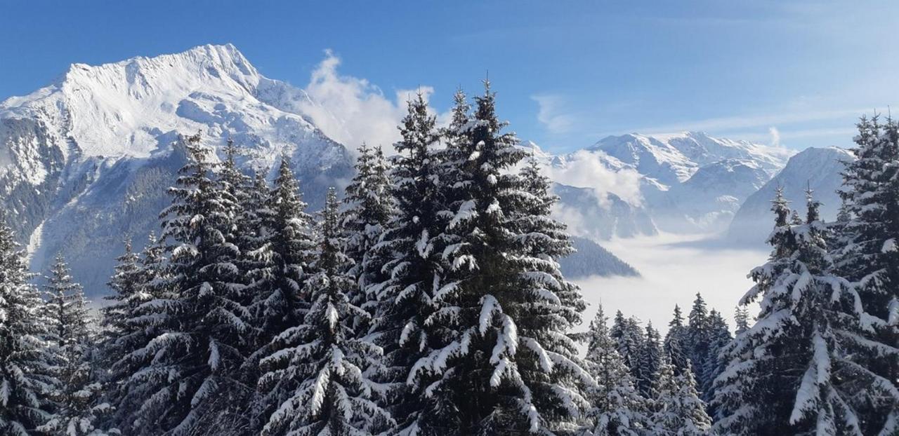 Les Glieres - Champagny-En-Vanoise La Plagne Exteriér fotografie