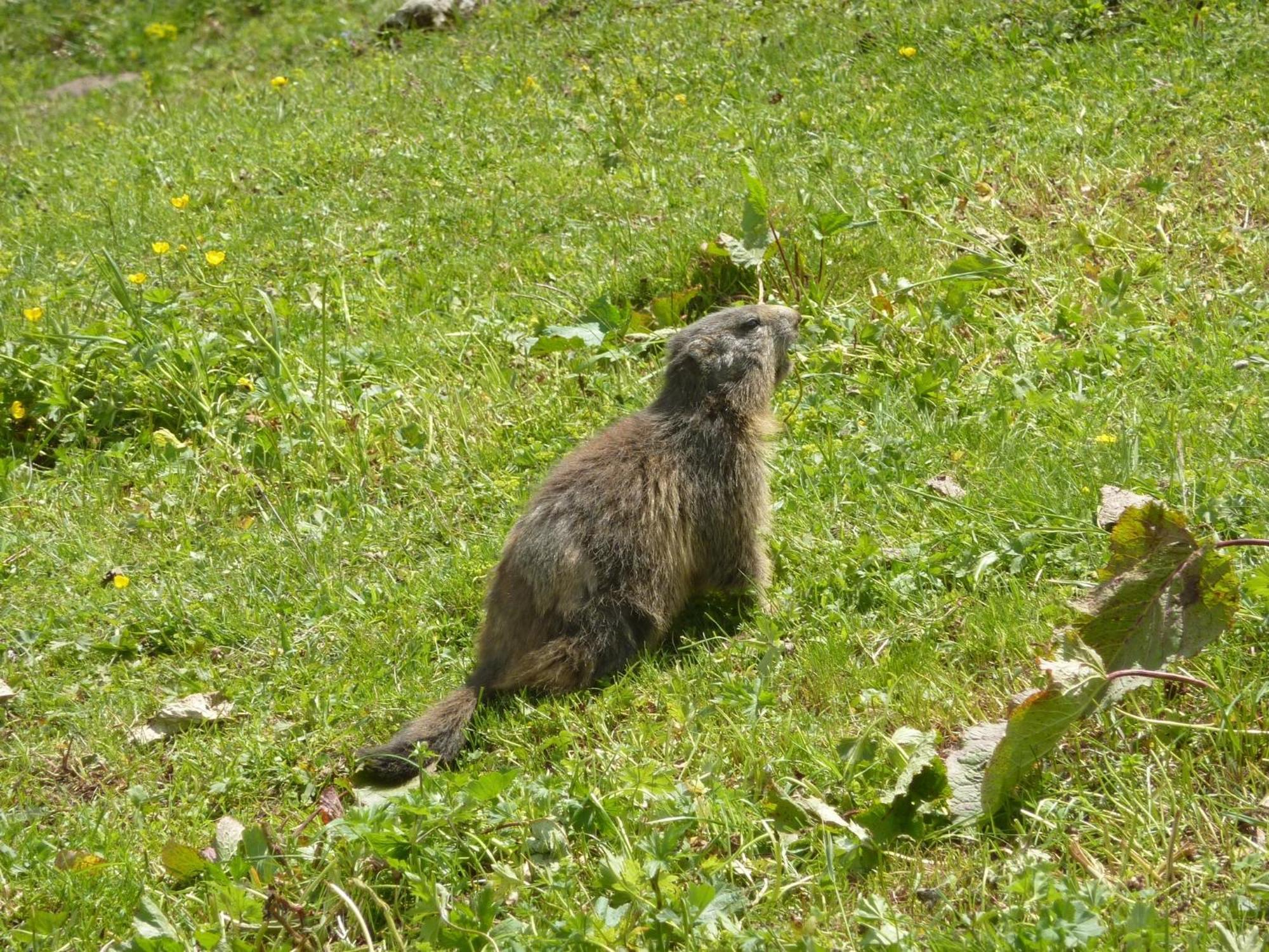 Les Glieres - Champagny-En-Vanoise La Plagne Exteriér fotografie