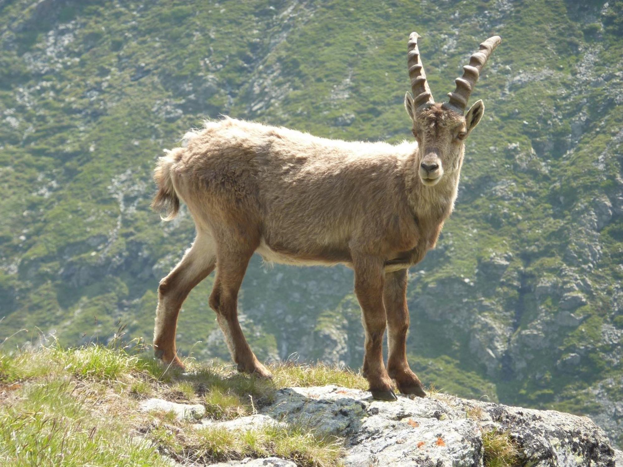 Les Glieres - Champagny-En-Vanoise La Plagne Exteriér fotografie